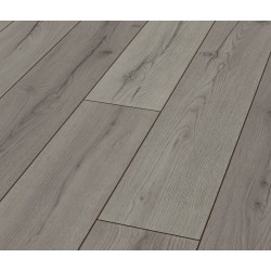 CENTURY OAK 