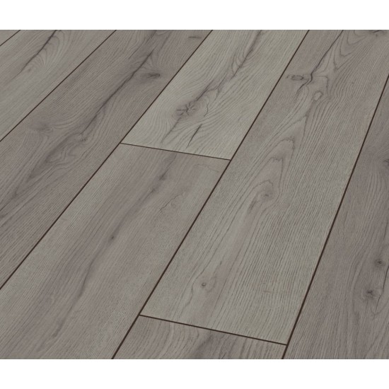 CENTURY OAK 