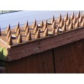 Fence Security Spikes