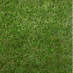 Artificial Grass - 'Harlow' (30mm Pile)