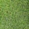 Artificial Grass (38mm Pile)