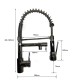 Dual Spout Pull Out Kitchen Tap