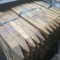 Treated Timber Spikes (Site Pegs)