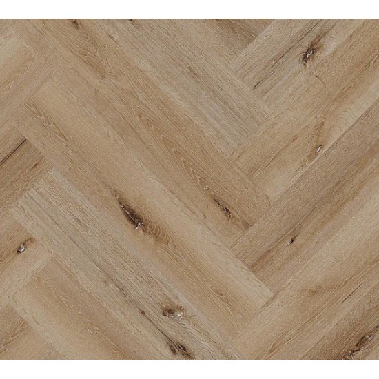 Camber Oak SPC LVT
