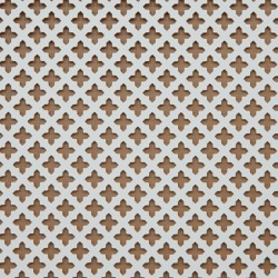 Radiator Cover Grille (Oregon)