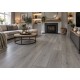 CENTURY OAK 