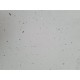 White Andromeda Worktop